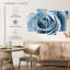 Hardie rose blanc nacré-107528991