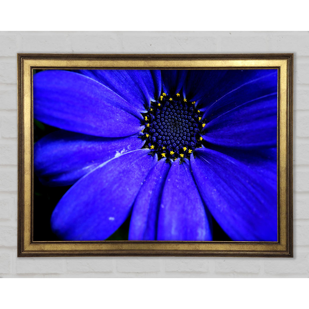 Electric Blue Petals - Druck