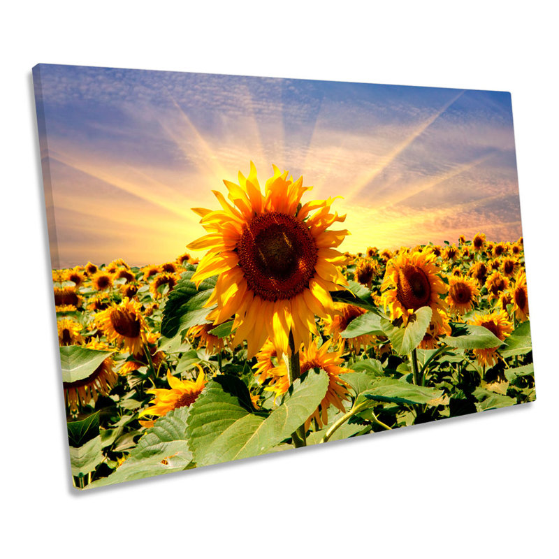 Sunflower Sunset Floral Flowers - Wrapped Canvas Art Prints, 30.5cm H x 45.7cm W x 2cm D