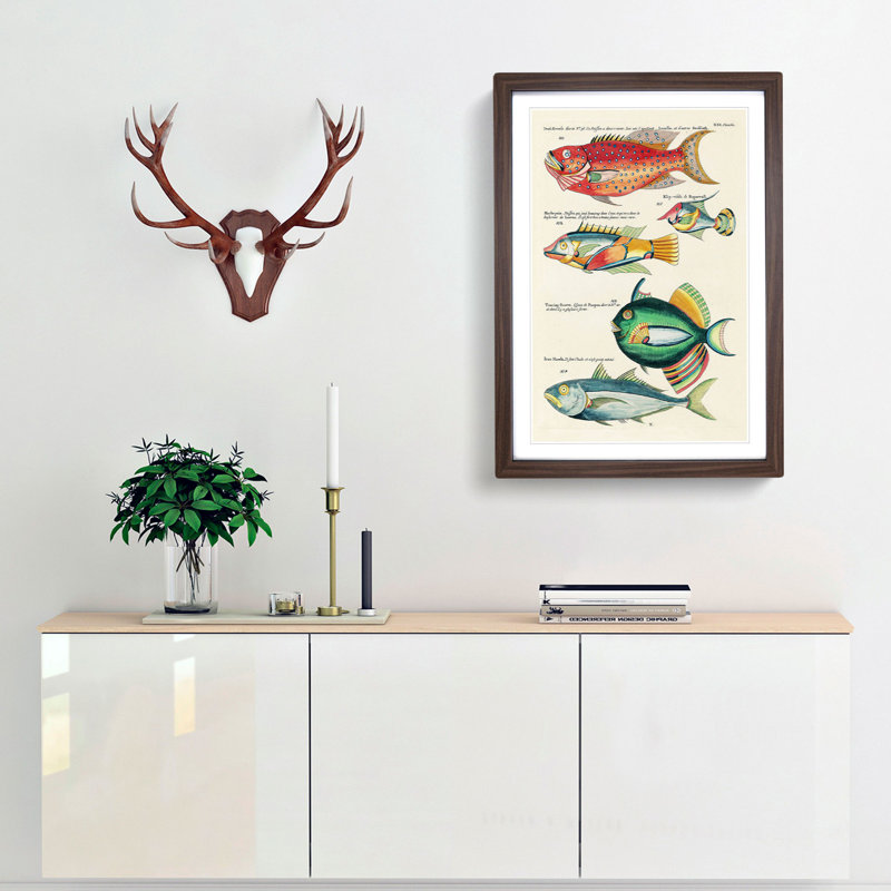 East Indies Fish Illustrations XXI by Louis Renard - Picture Frame Graphic Art Print, Walnut Framed, 48cm H x 36cm W x 2cm D