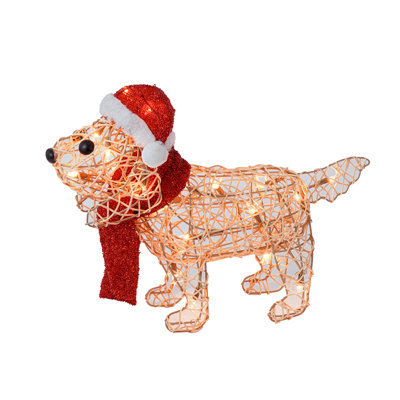 Chiot rotin