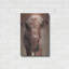 "Angus" par Sam Dolman-101656312