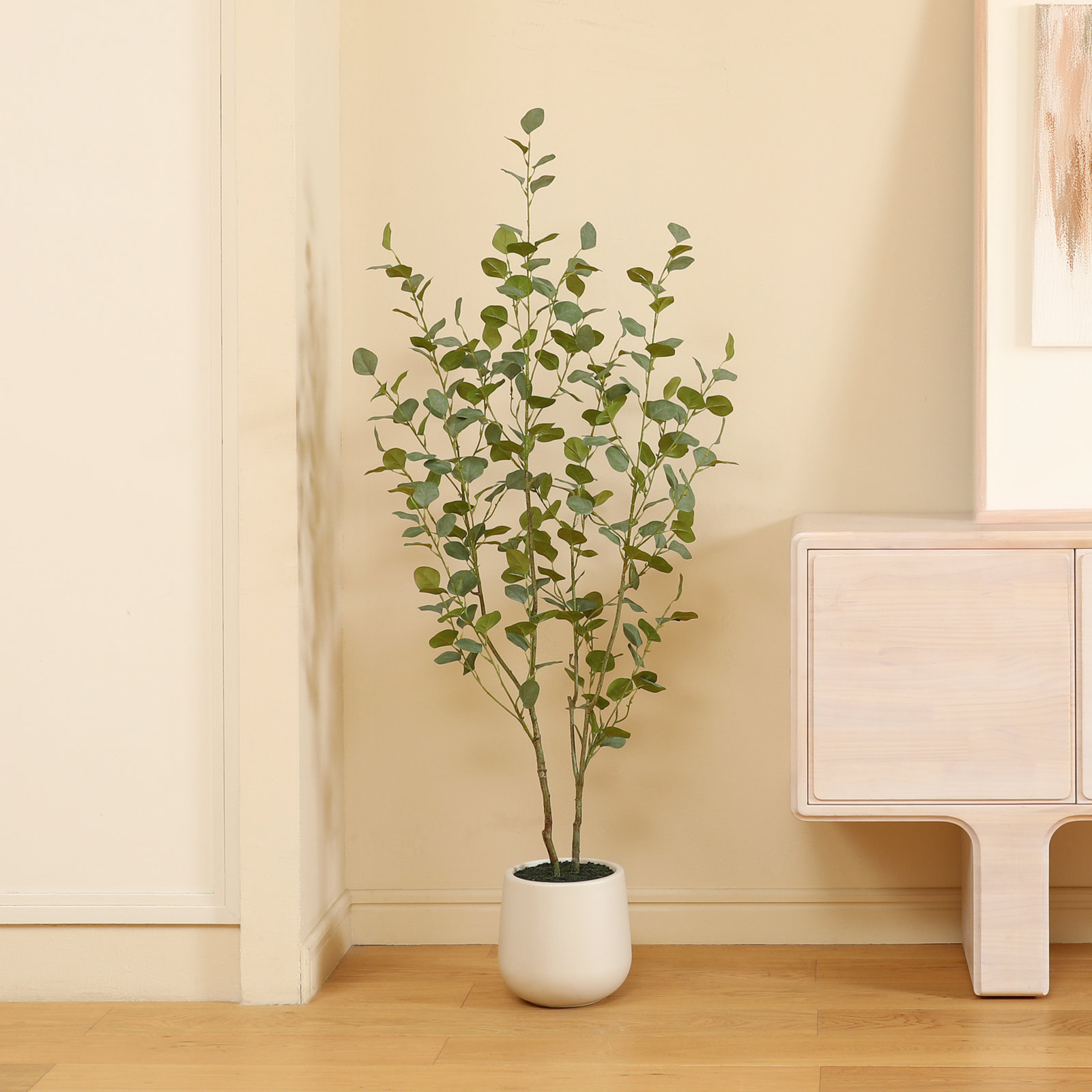 Adalia Eucalyptus Tree in Pot, 60" H x 20" W x 20" D