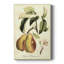 Impression sur toile tendue, fruits toscans IV-1432318582