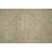 Traditional Wool Area Rug 7x10