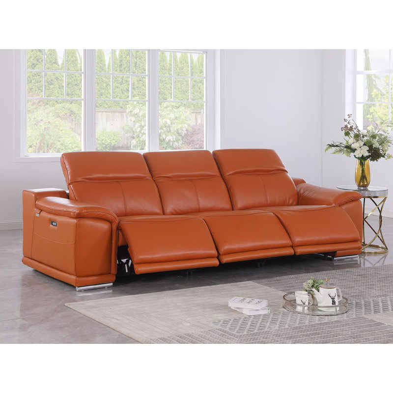 LILY-CAMEL-3,3-HT, Chameau