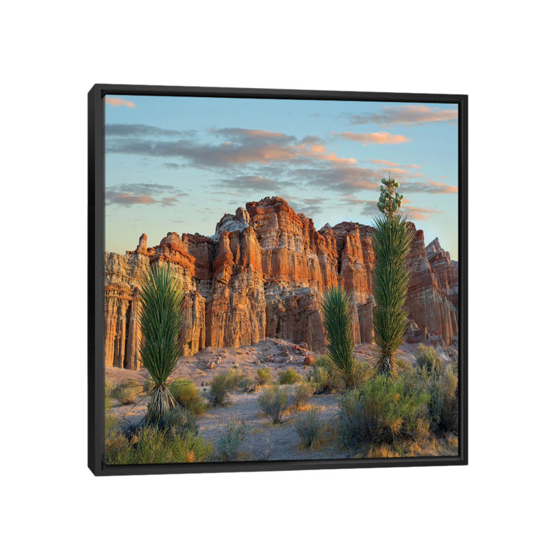 Reproduction de photo sur toile, H 18 po x l 18 po x P 1,5 po, Toile encadrée noire