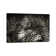 B&W Leopard At Rest by Klaus Tiedge - Wrapped Canvas Print