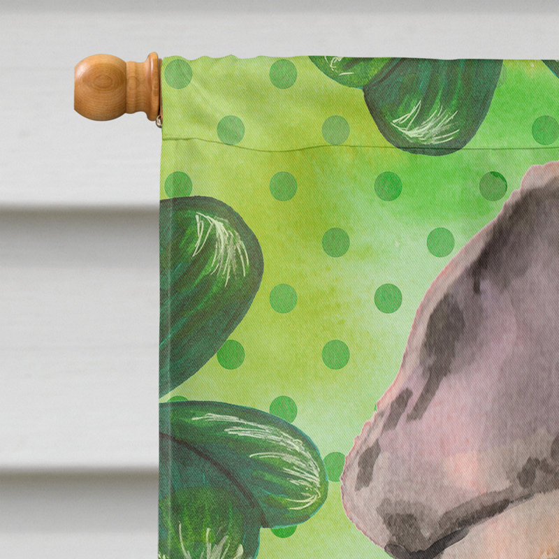 40 x 28 po en polyester à 2 côtés de la st patrick drapeau maison, Bouledogue français brun clair