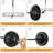 Steel Armed Sconce
