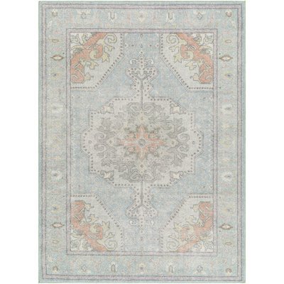Machine Washable Area Rug