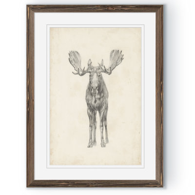 " Moose Study " by Paul Cezanne