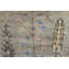 New Indian Bakshaish 1 Wool On Cotton 8Ft8inx11ft8in Taupe