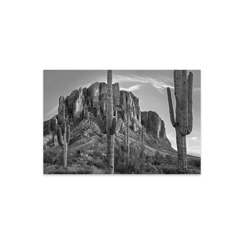 Saguaros and Superstition Mountains, Lost Dutchman State Park, Arizona - Sans cadre