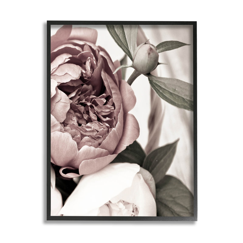 Pivoine en fleurs, giclée par Malerifabrikken, H 14 po x l 11 po x P 1,5 po, Giclée encadrée noir minuit