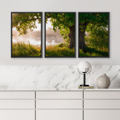 Leafy Lush Oak Tree By The Misty Lake - 3 Piece Wrapped Canvas Print