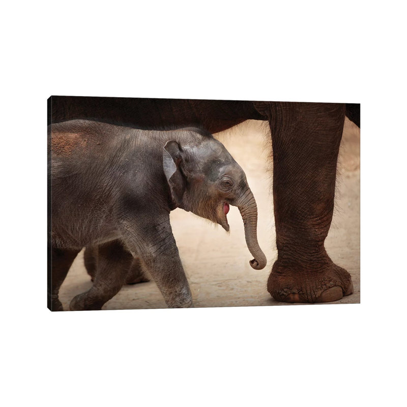 The Magic Of Walking by Antje Wenner-Braun - Wrapped Canvas Print, 20.32 cm H x 30.48 cm W
