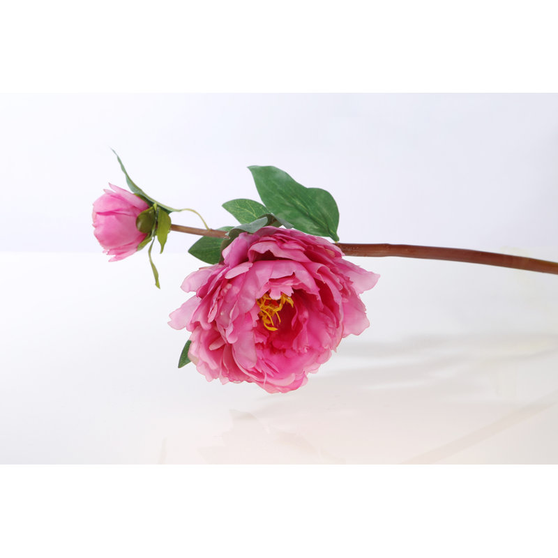 Peony with bud, Cerise Pink
