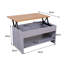 Artechworks Lift Top Coffee Table with Storage-279198287