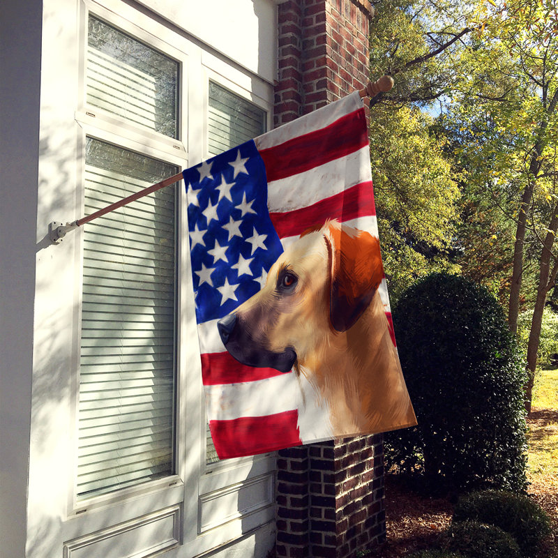 Polyester à 2 côtés 28 x 40 po drapeau maison, Black Mouth Cur