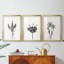Encre botanique croquis II-457479931-457479935