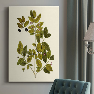 Olive Greenery VII - Wrapped Canvas Painting