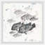 Schooling Fish - Single Picture Frame Painting-2111012912