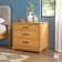 Contemporary Wood 3-Drawer Nightstand with Easy Assembly Drawer