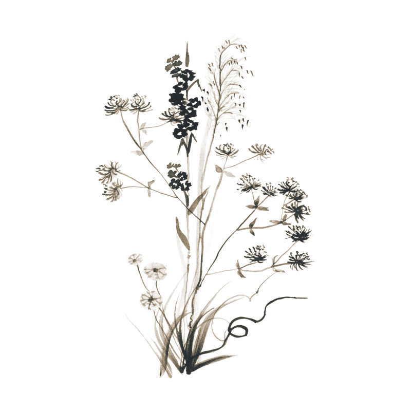 Watercolor Botanicals - Reproduction d'art sur toile tendue, H 12 po x l 8 po