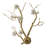 Transitional 6 Light Brass branch Wall Sconce