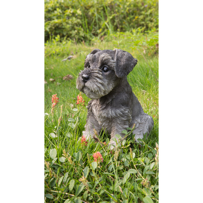 Statue chiot Schnauzer assis