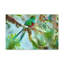 No Frame Print on Canvas