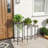 Wesley Plant Stand