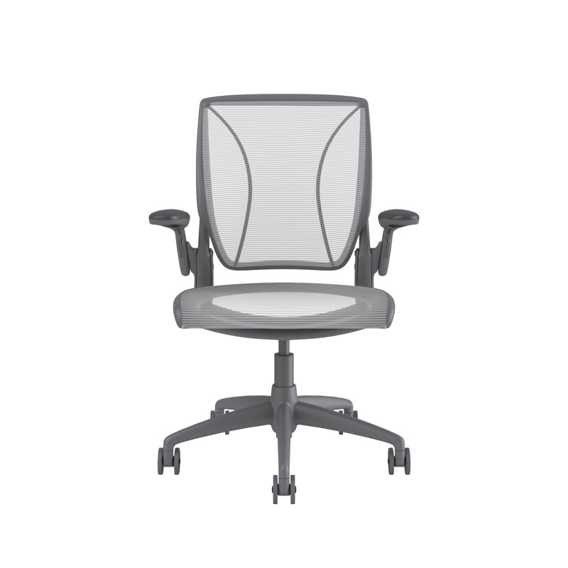 World Task Chair, Gray, White, Adjustable