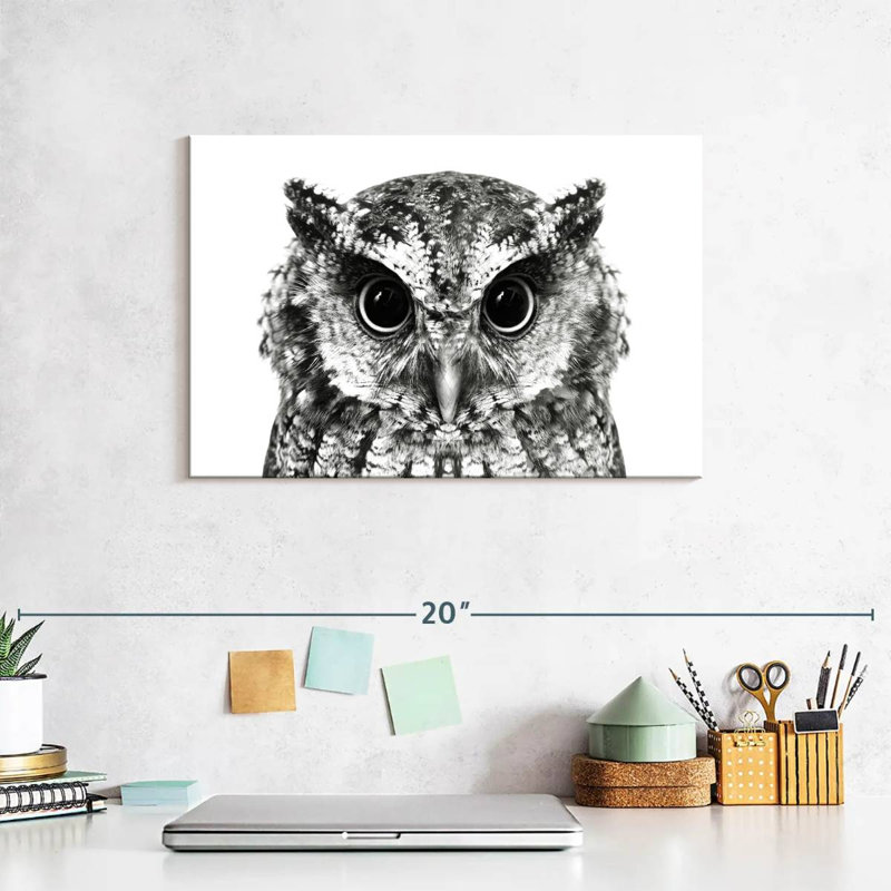 Bewitching Owl, 8" H x 12" W