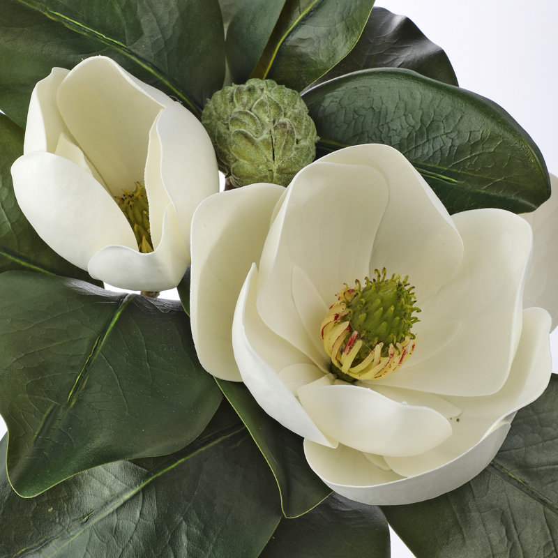 Magnolia 29 po Veranda