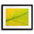 Black Framed Paper is unavailable