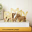 Box Signs & Plaques