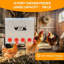 Boîte à nourriture automatique pour poulets