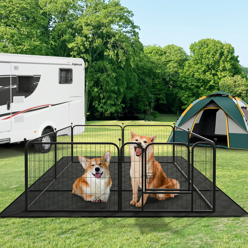 Tapis lavable pour chien, parc, lit, canapé et coffre, H 0,2 po x l 48 po x P 48 po, Noir