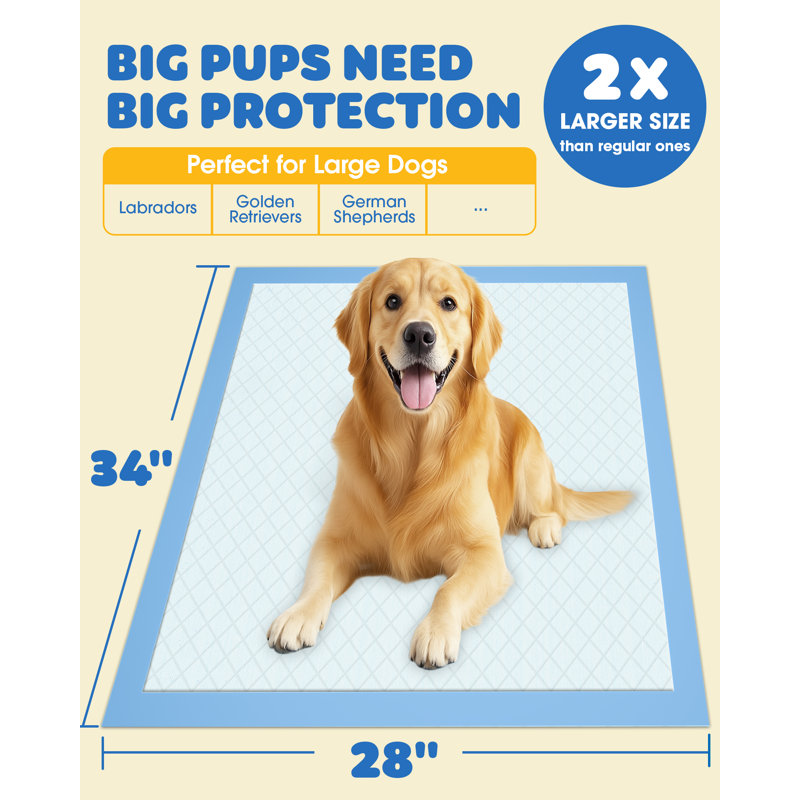X-Large Puppy Training Pads, 34" x 28", 100-Pack Leak-Proof 6-Layer Quick-Dry Dog Pee Pads, Blue