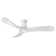 Swell 56'' Ceiling Fan with LED Lights