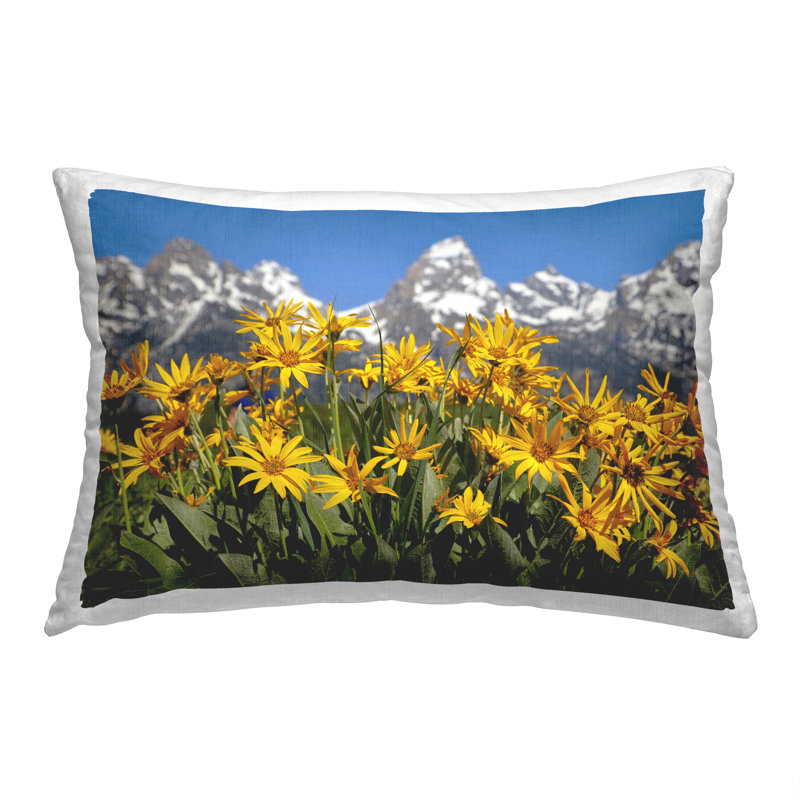 Coussin 