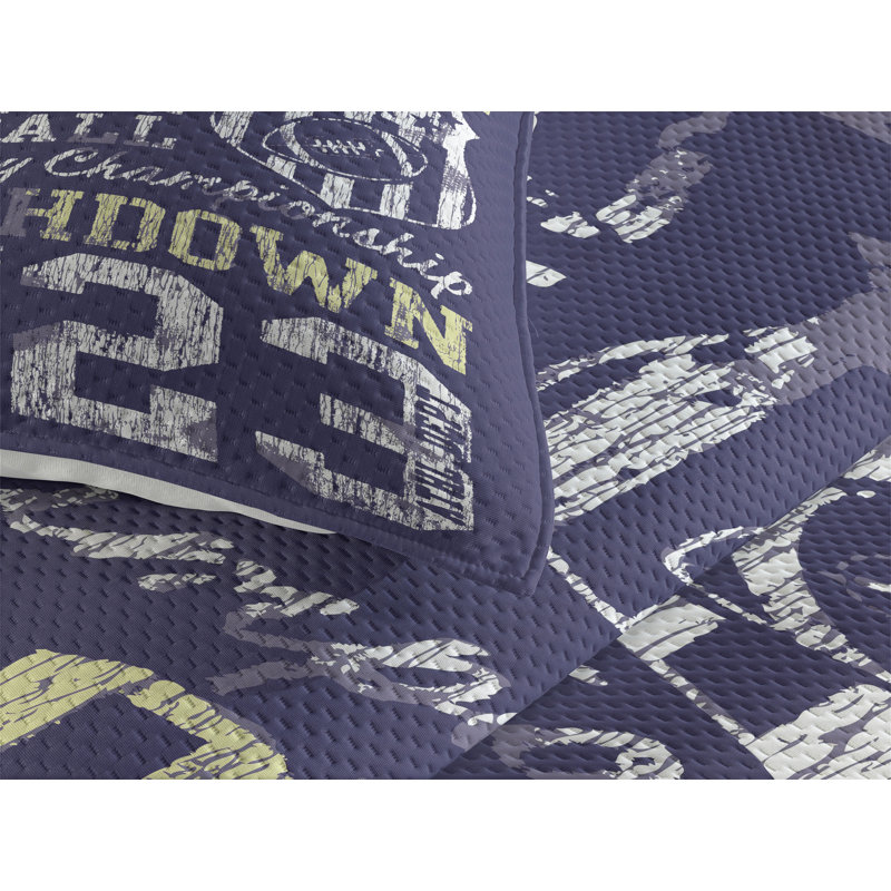 Farmhouse / Country Polyester Coverlet