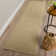 Dionne Wool Indoor Rug