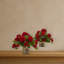 Geranium floral en pot