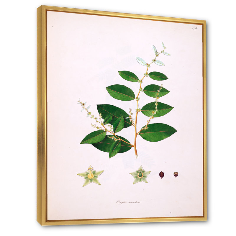 Vie végétale rétro - peinture sur toile, H 20 po x l 12 po x P 1po, Cadre flottant doré