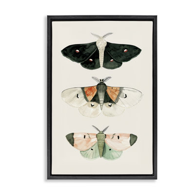 Trio de papillons assortis avec cadre flottant par Petal Prints Design