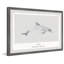 Delphinus Delphis by Marmont Hill - Single Picture Frame Print-1644463963