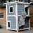 Chitose Cat House-1221962458